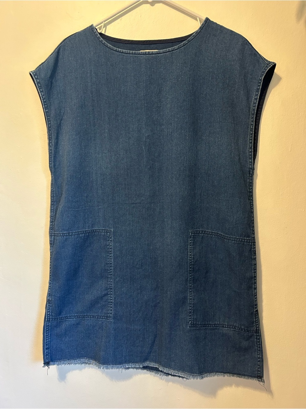 Wilfred Denim Blue Mini Dress